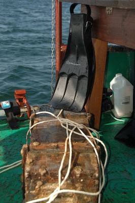 DSC_0055.jpg