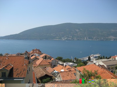 231.jpg